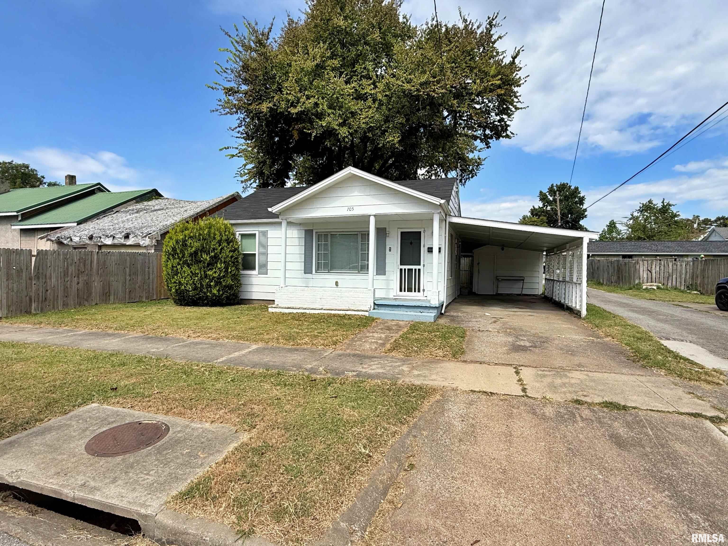 705 Catherine Street Metropolis, IL 62960 - Photo 2 of 41