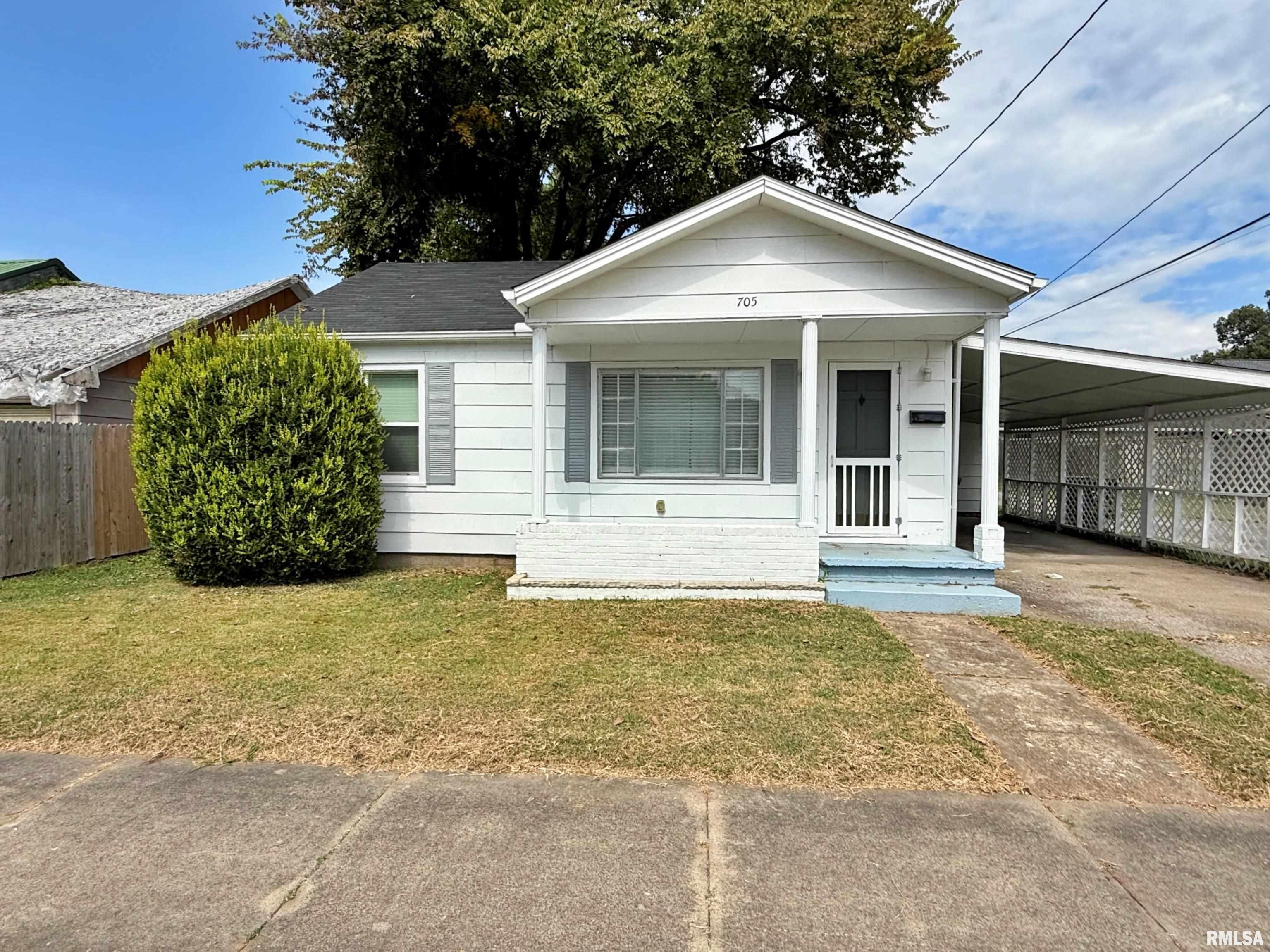 705 Catherine Street Metropolis, IL 62960 - Photo 3 of 41