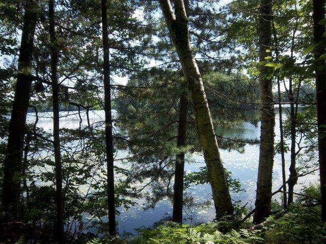On Madeline Lake Road Woodruff, WI 54568 - Photo 1 of 12 Gallery Image 1