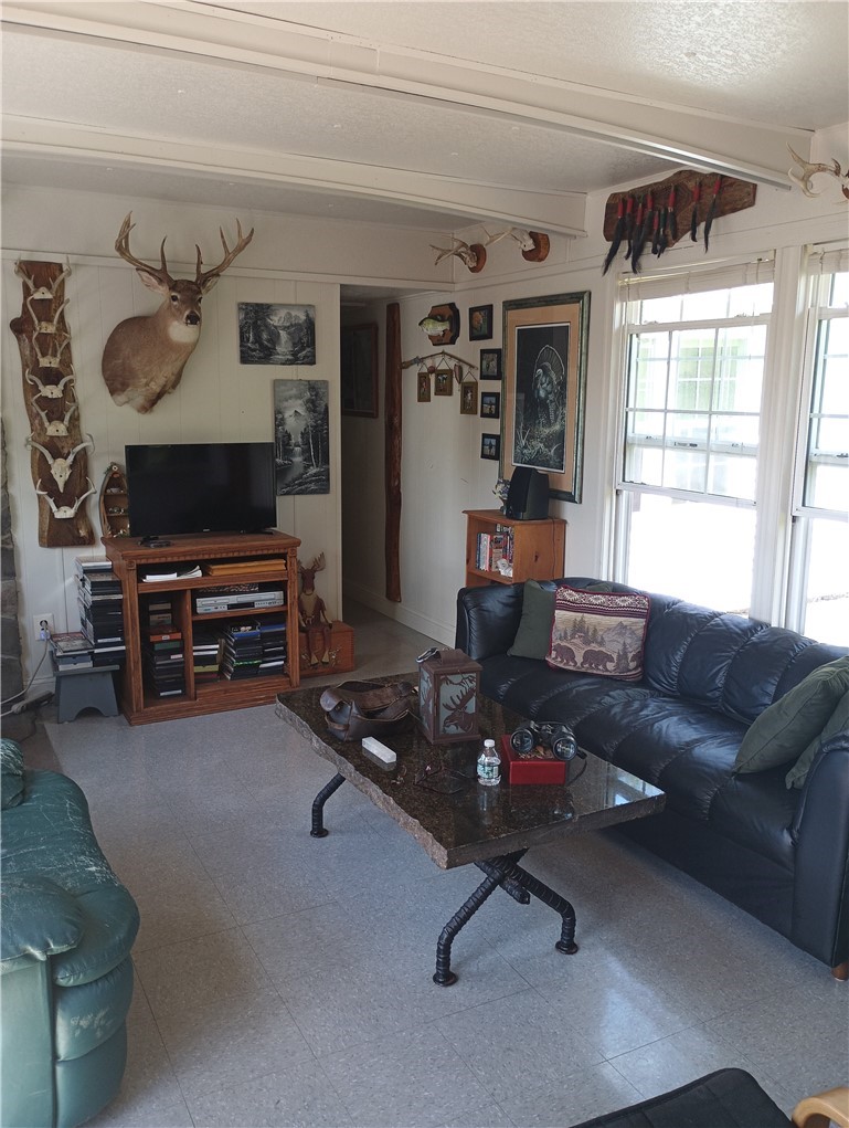 4323 Gregory Hollow Road Hamden, NY 13782 - Photo 15 of 33