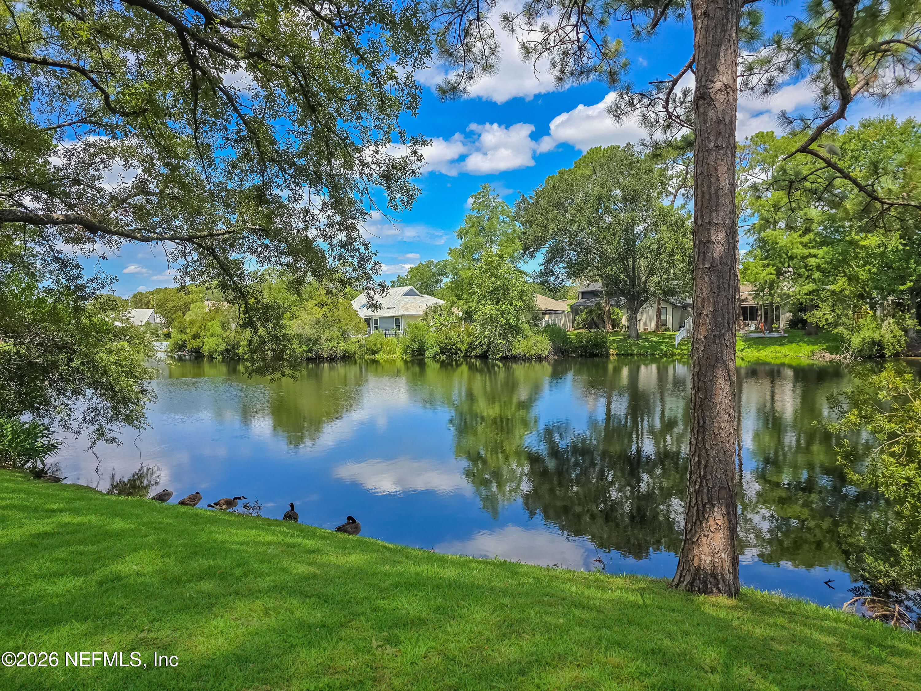 8715 Belle Rive Boulevard, Unit 1501 Jacksonville, FL 32256 - Photo 23 of 23 Lake