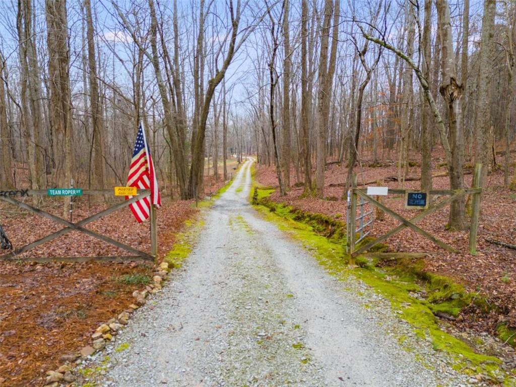 630 Stoney Point Road Bowdon, GA 30108 - Photo 3 of 48