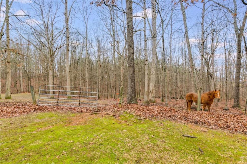 630 Stoney Point Road Bowdon, GA 30108 - Photo 36 of 48