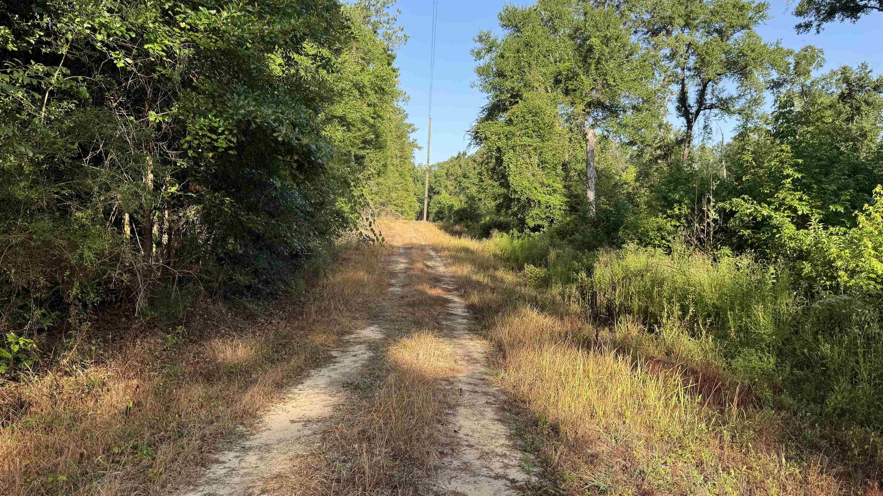 1050 Cedar Creek Landing Road Mount Vernon, AL 36560 - Photo 46 of 59 Community