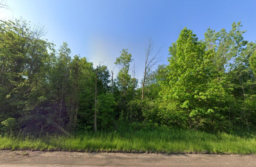 East Farrand Road Clio, MI 48420 - Photo 1 of 2 E Farrand Rd