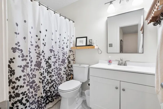 a bathroom with a toilet sink vanity and mirror
