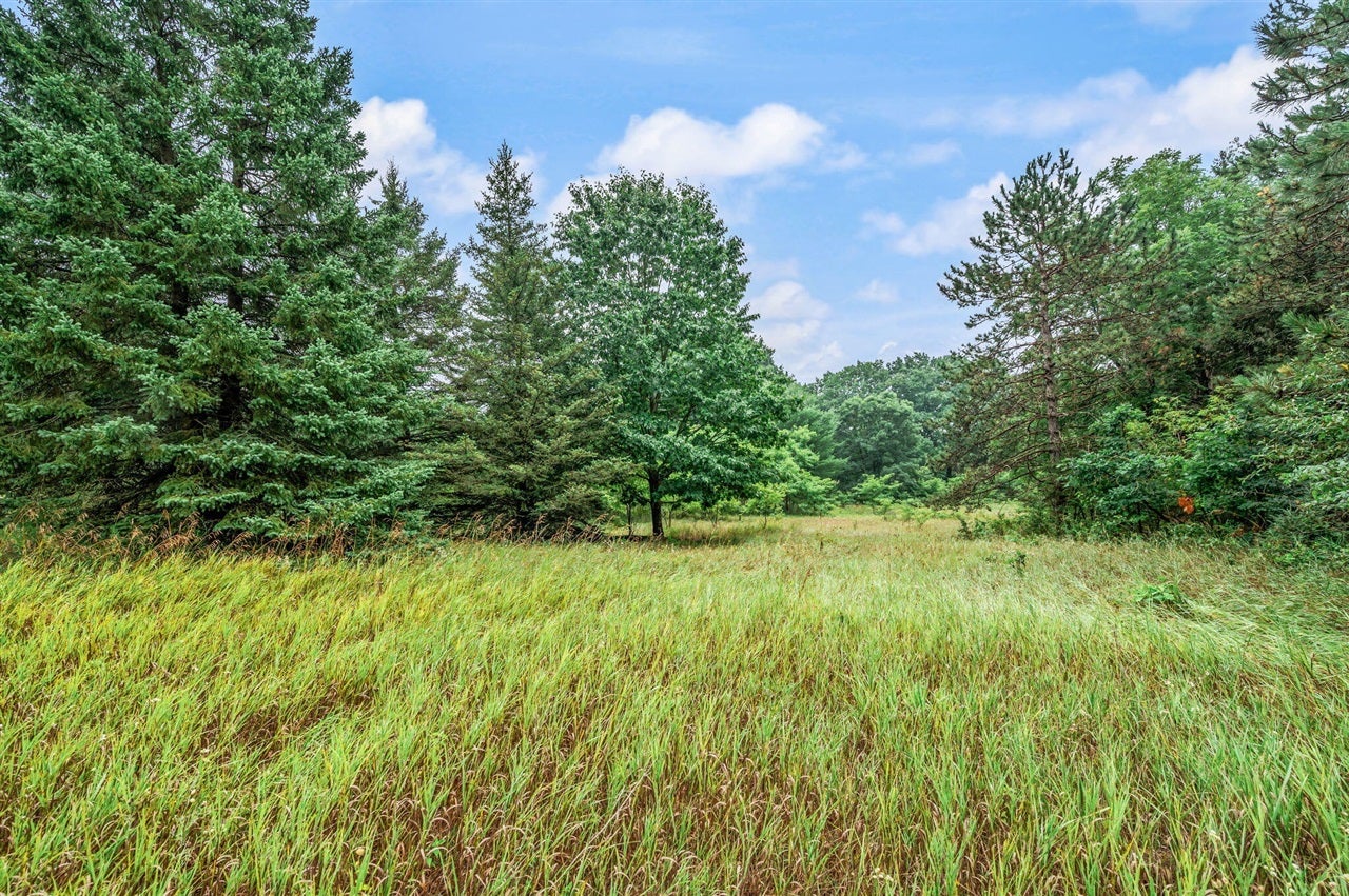 10055 8 Mile Road Evart, MI 49631 - Photo 25 of 30 Gallery Image 25