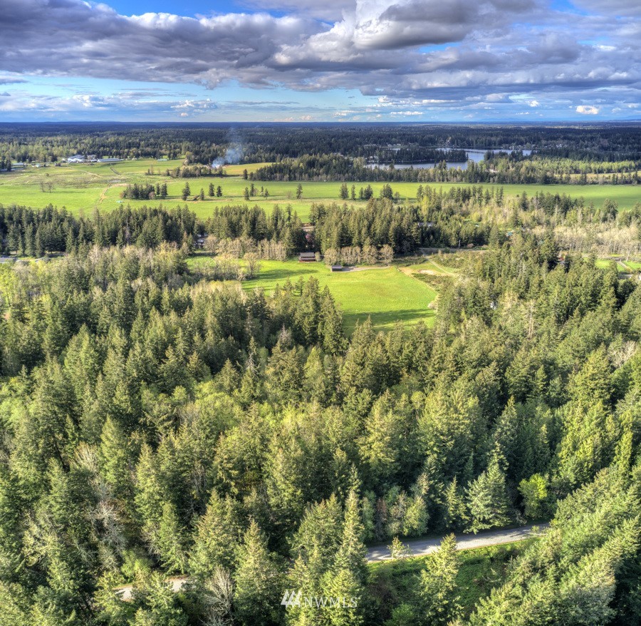 16825 Reichel Road Southeast Rainier, WA 98576 - Photo 19 of 36 Gallery Image 19