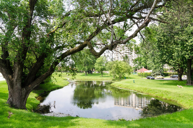 40 North Tower Road, Unit 1E Oak Brook, IL 60523 - Photo 15 of 15 a view of a lake with a yard and large trees