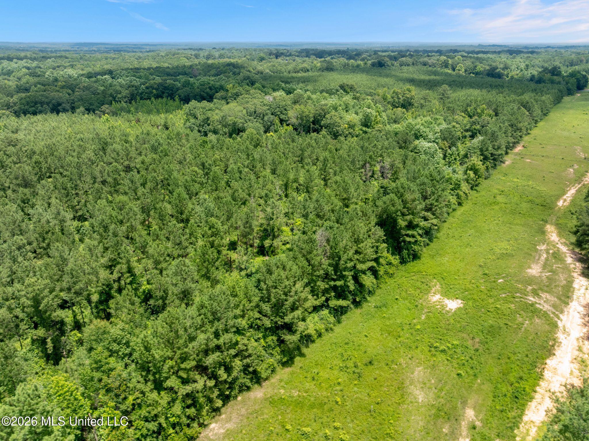 31-acres Ridgeland Road Bassfield, MS 39421 - Photo 18 of 27 85_Ridgeland_Rd-18
