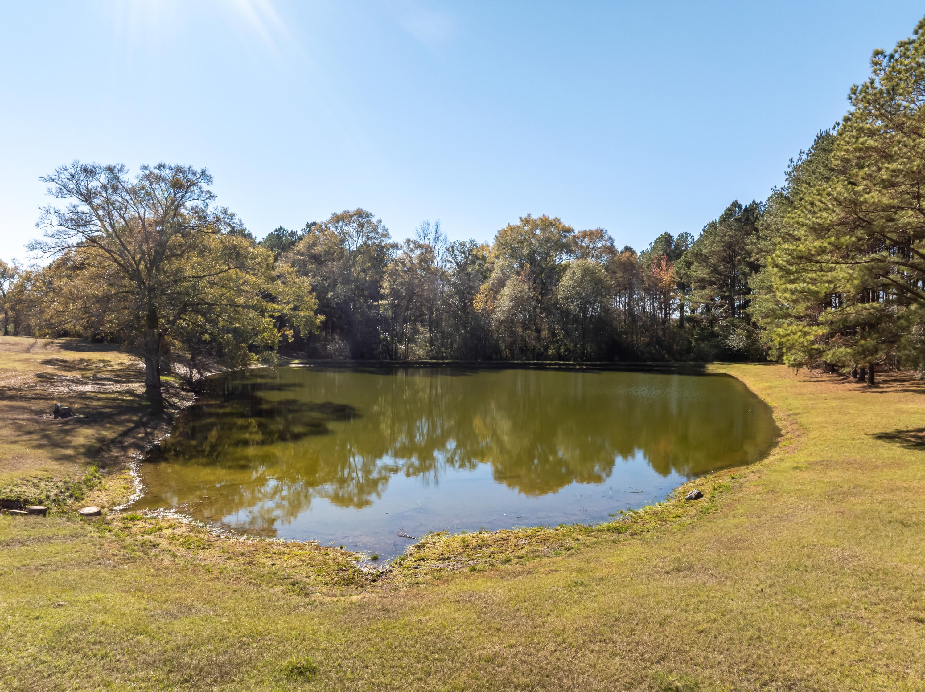 5844 North Williamsburg Road Bassfield, MS 39421 - Photo 82 of 109 Gallery Image 82