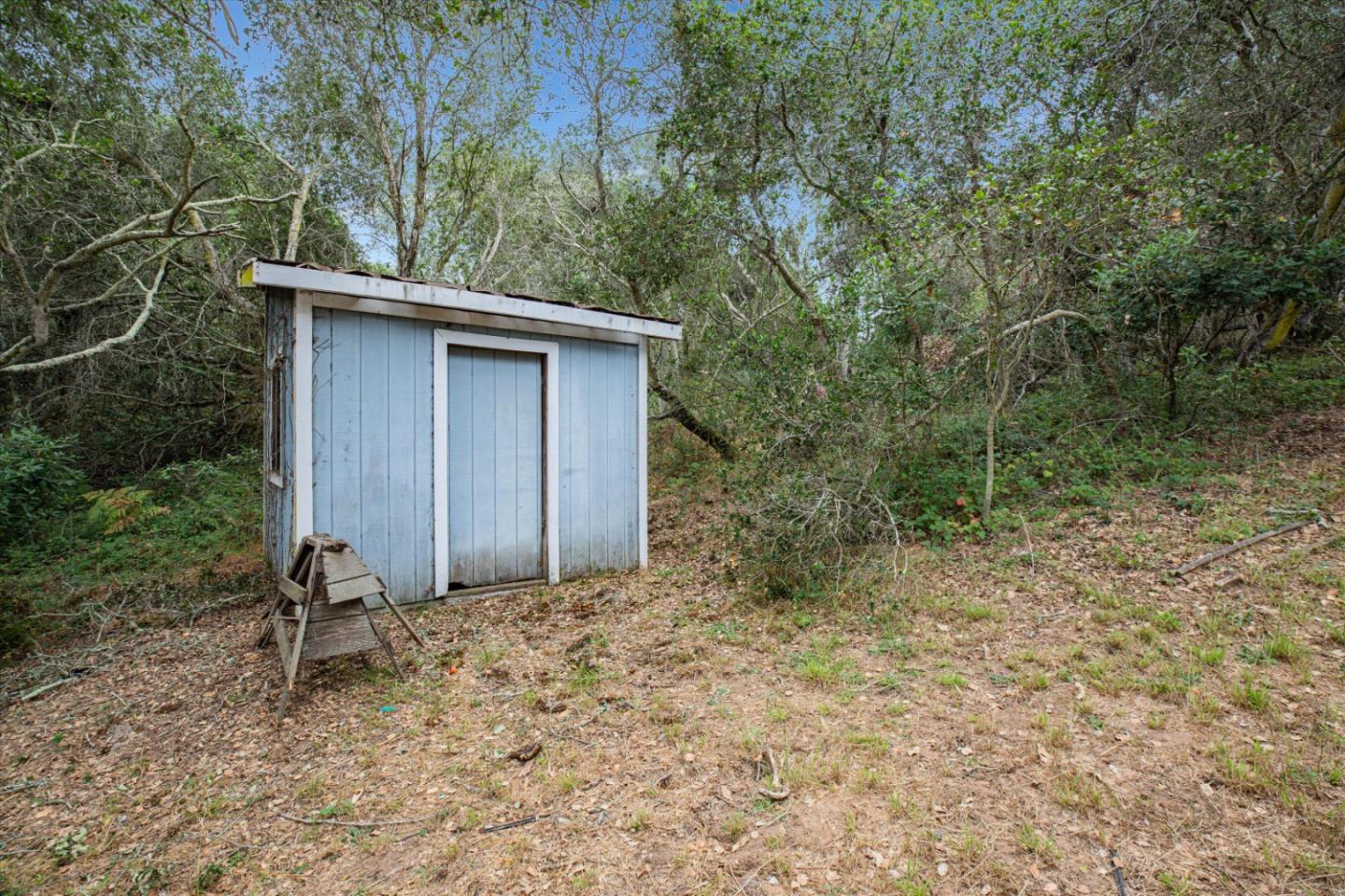 6333 Tustin Road Salinas, CA 93907 - Photo 59 of 88 a backyard of a house with lots of plants and large tree