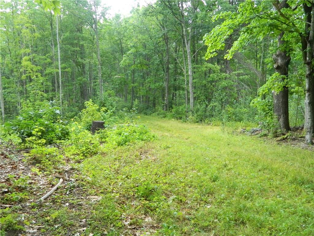 0 Mountain Road Parsonsfield, ME 04047 - Photo 14 of 22 Photo