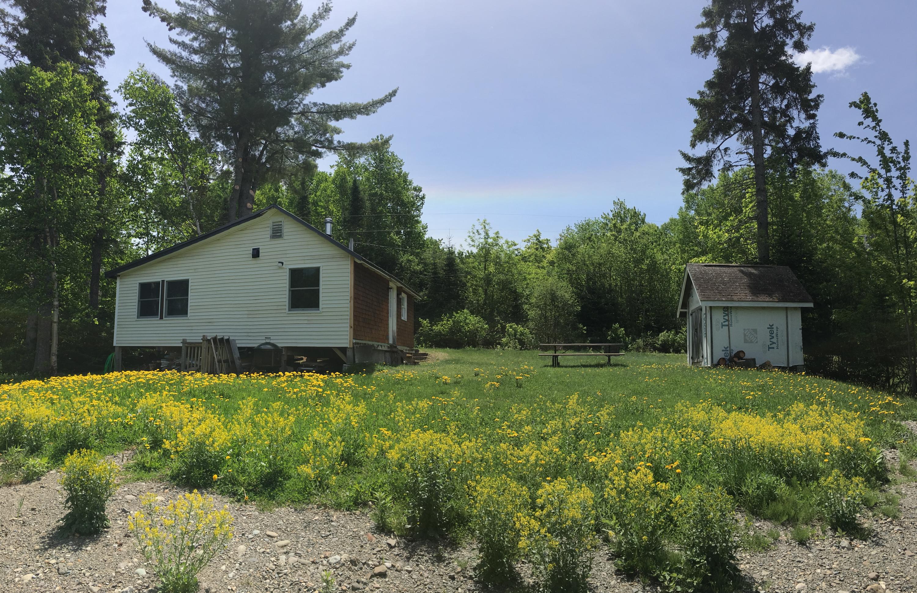 Backyard view