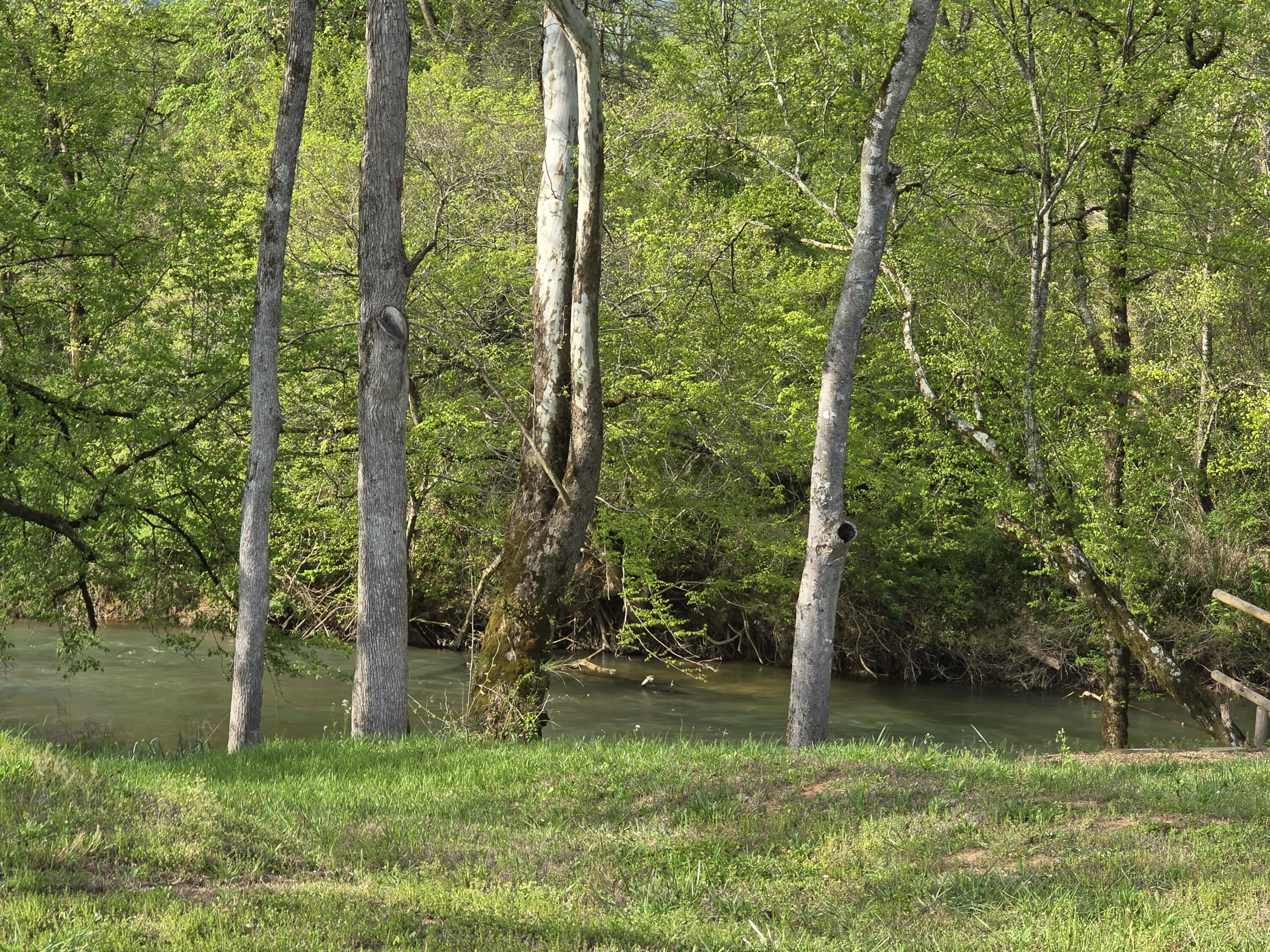 Lot 83 River Ridge Drive Dunlap, TN 37327 - Photo 10 of 16 765