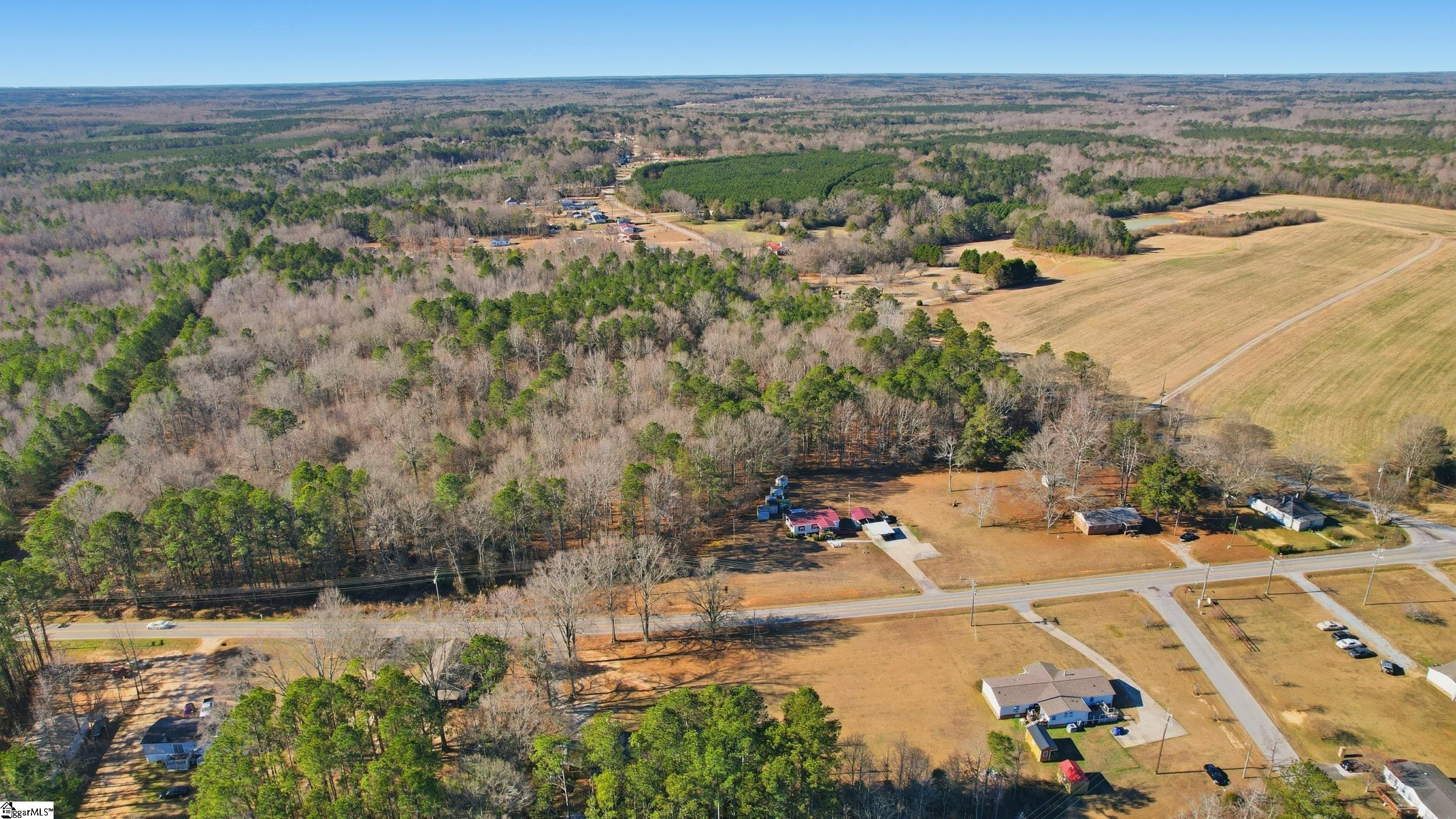 0 Apple Orchard Road Clinton, SC 29325 - Photo 22 of 22
