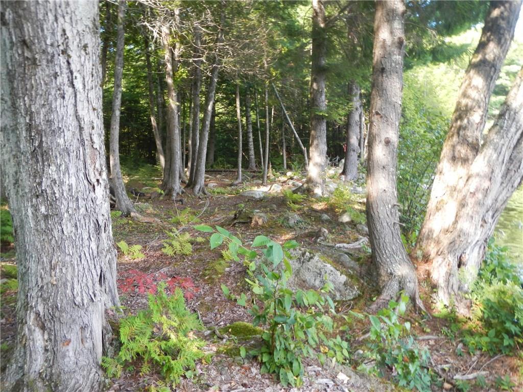 Tbd Tbd Eskutassis & Spruce Point Road Lowell, ME 04493 - Photo 17 of 23 Photo