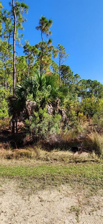 7 Southwest 104th Court Cedar Key, FL 32625 - Photo 9 of 10