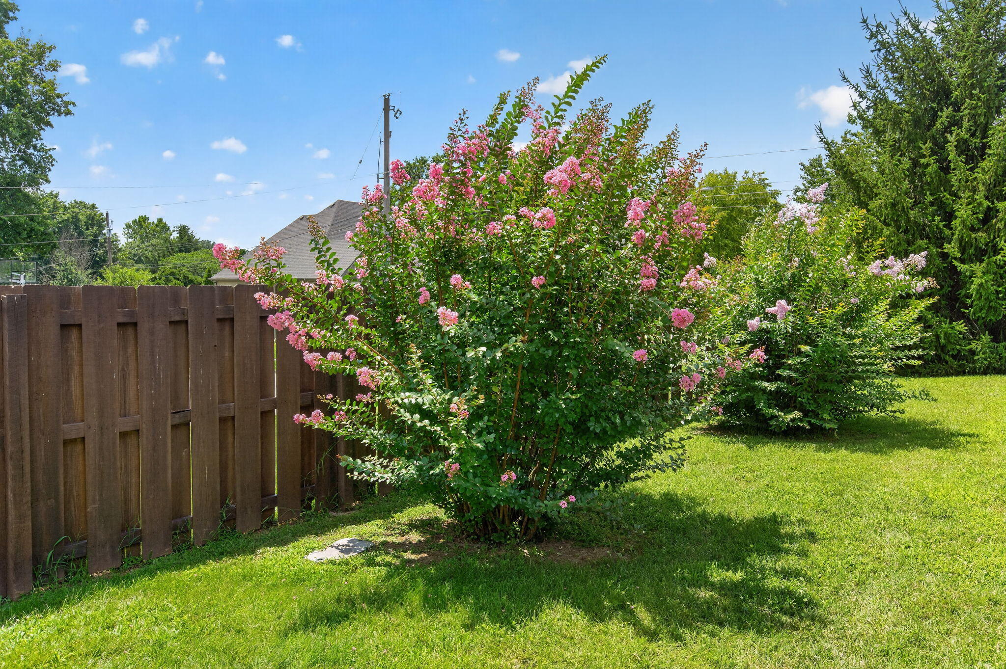 3608 East Lombard Street Springfield, MO 65809 - Photo 34 of 40 34-web-or-mls-_DSC8300
