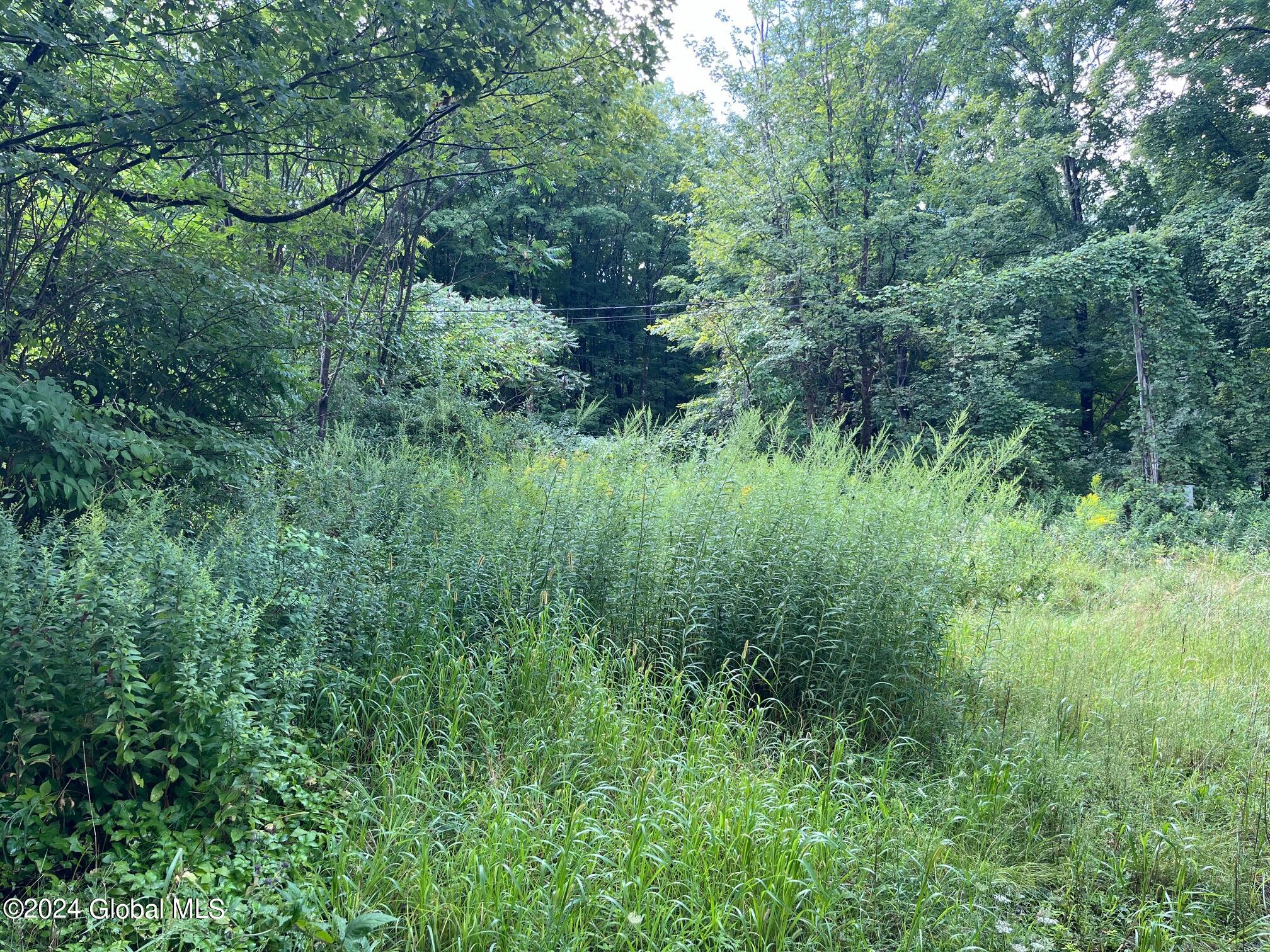 814 Stone Church Road Middle Grove, NY 12850 - Photo 19 of 20 IMG_3972-1