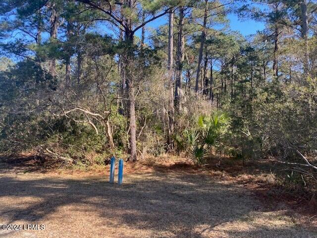 18 Net Weavers Place St. Helena Island, SC 29920 - Photo 2 of 13 Net Weavers 4