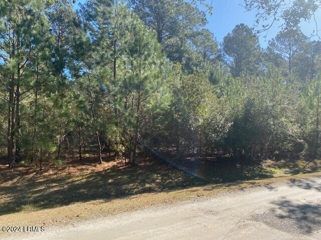 18 Net Weavers Place St. Helena Island, SC 29920 - Photo 6 of 13 MLS photo