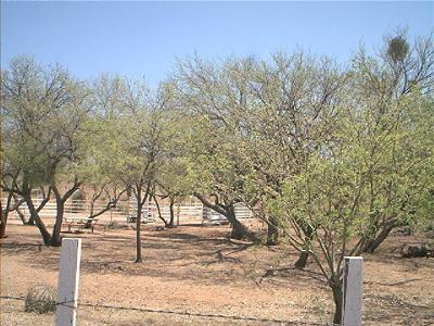 2751 North Cascabel Road Benson, AZ 85602 - Photo 3 of 5