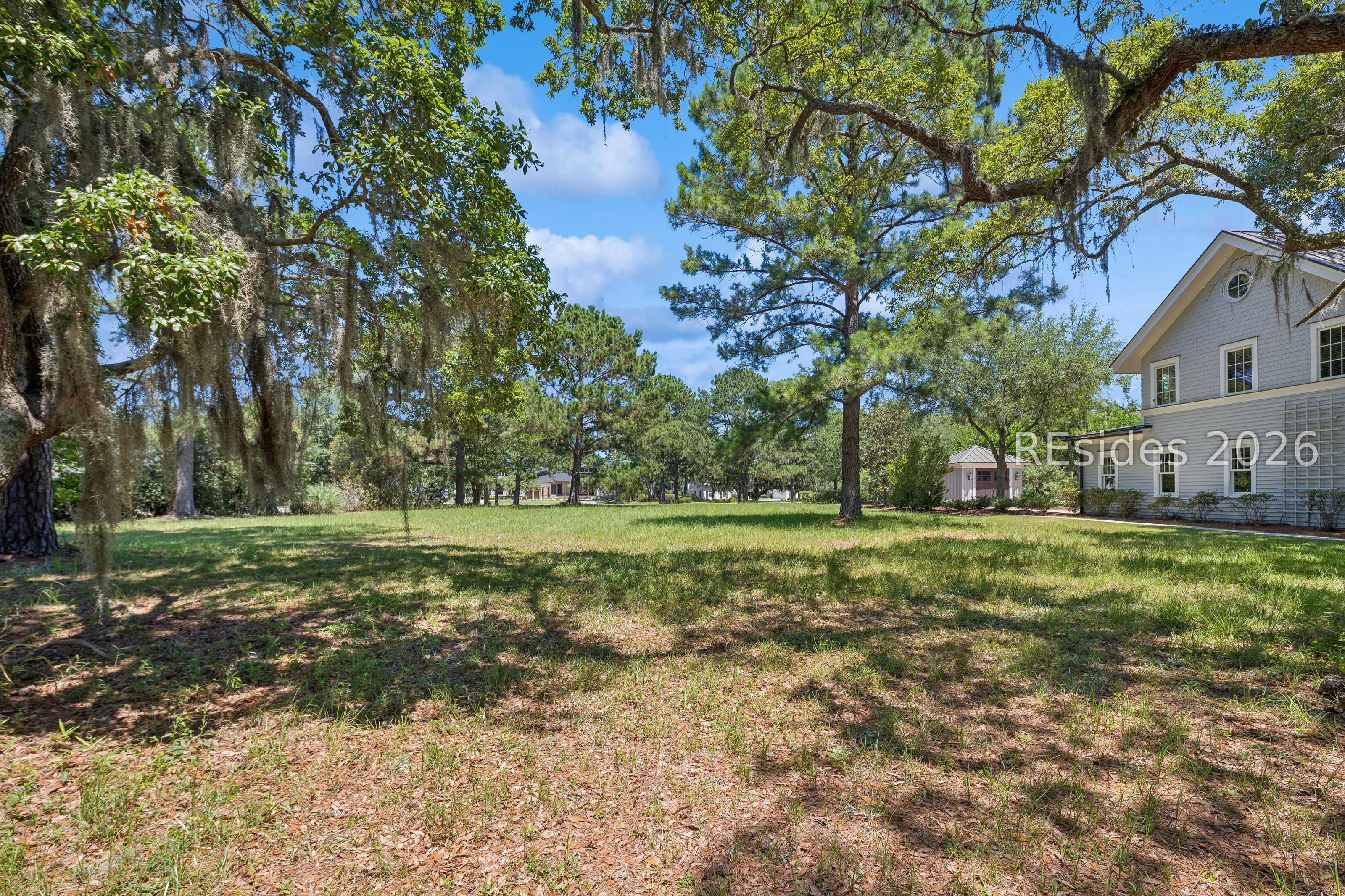 8 Pinckney View Circle Bluffton, SC 29909 - Photo 10 of 29