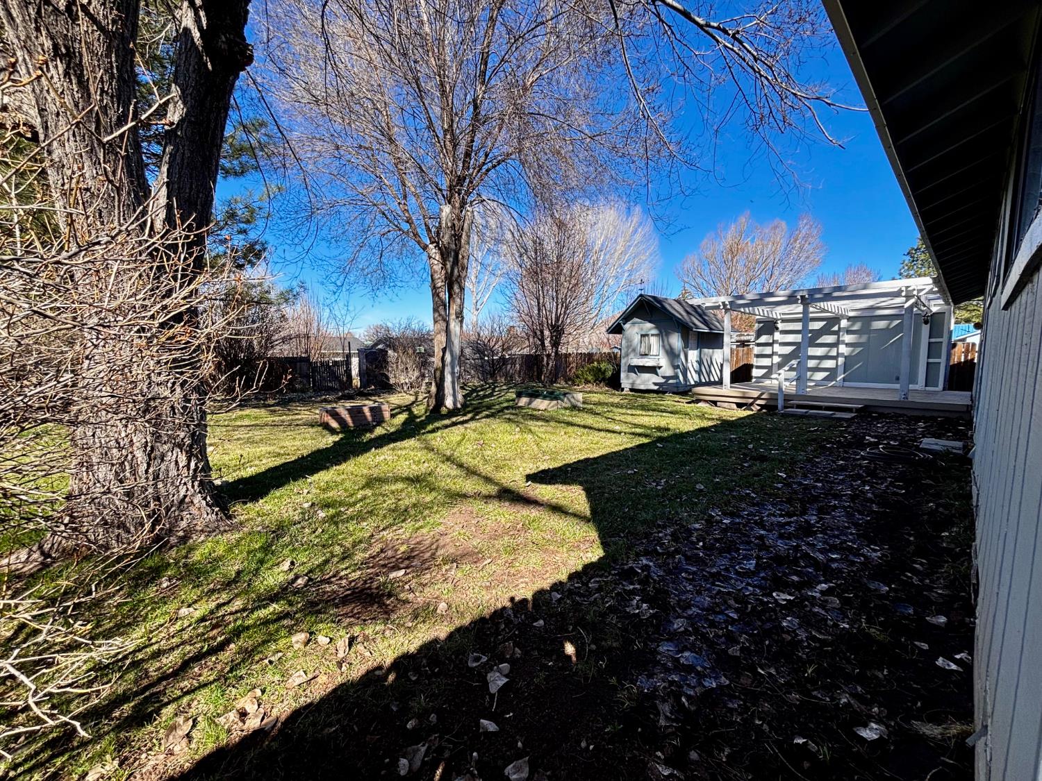 111 Patterson Avenue Loyalton, CA 96118 - Photo 46 of 46 a view of a yard with swimming pool