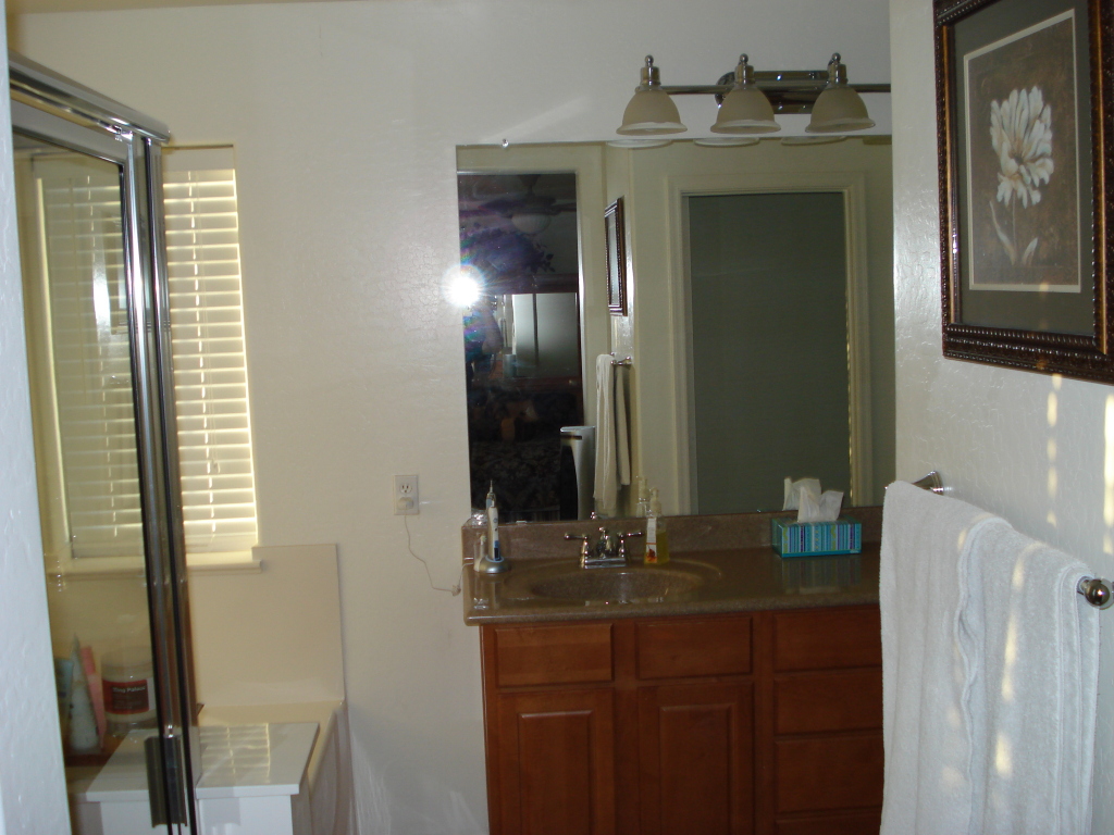 6905 South 9th Avenue Phoenix, AZ 85041 - Photo 18 of 36 Master Bath