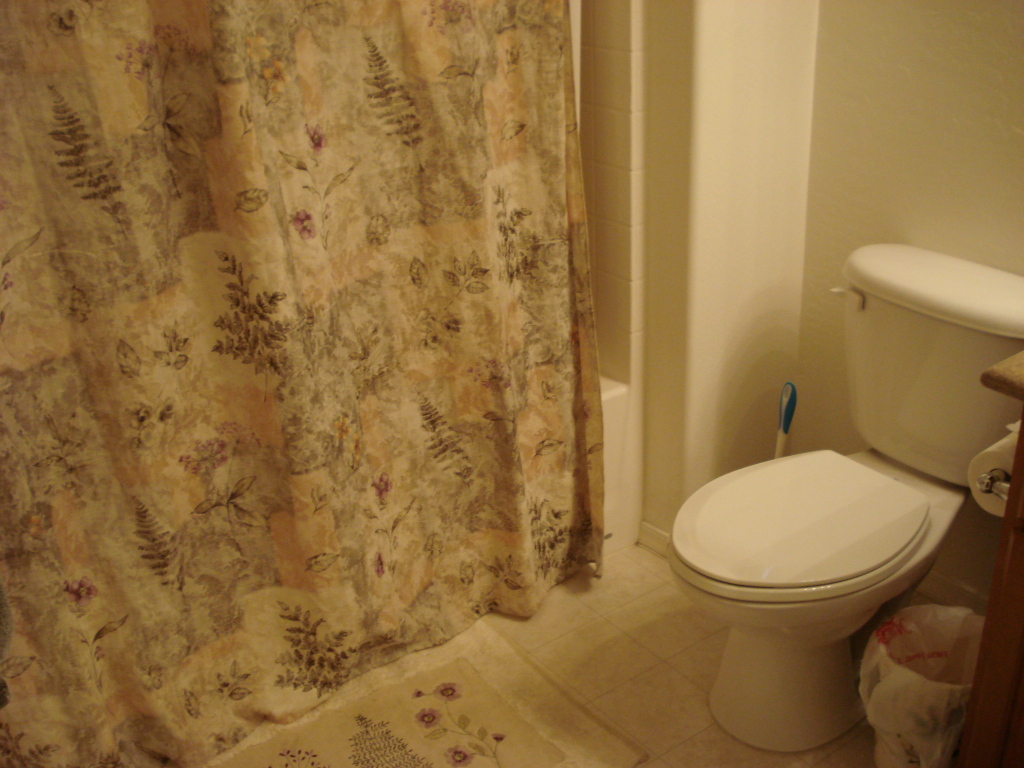 6905 South 9th Avenue Phoenix, AZ 85041 - Photo 27 of 36 Upstairs Bathroom