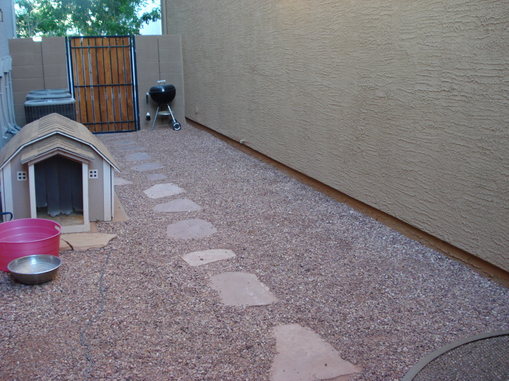 6905 South 9th Avenue Phoenix, AZ 85041 - Photo 6 of 36 Yard