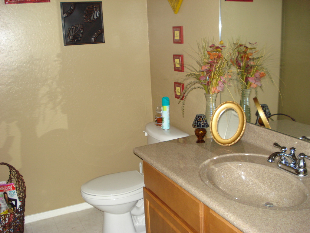 6905 South 9th Avenue Phoenix, AZ 85041 - Photo 9 of 36 Powder Bath