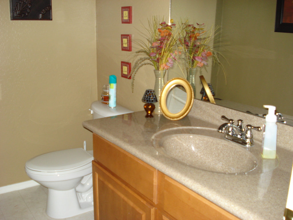 6905 South 9th Avenue Phoenix, AZ 85041 - Photo 10 of 36 Powder Bath