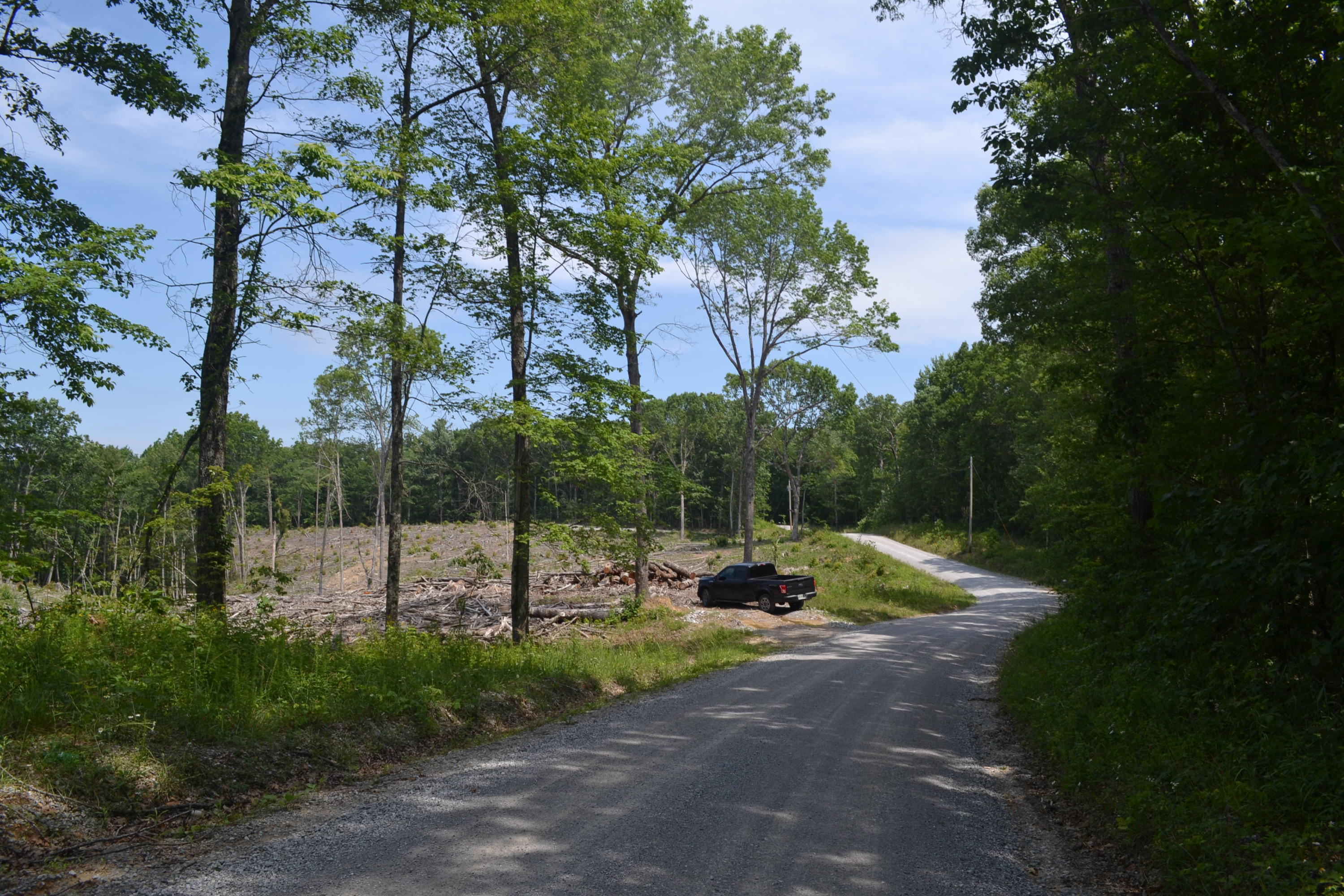 21-ac Chestnut Ridge Road Spring City, TN 37381 - Photo 15 of 15 Hon 224 ac_2141Hon 224 ac