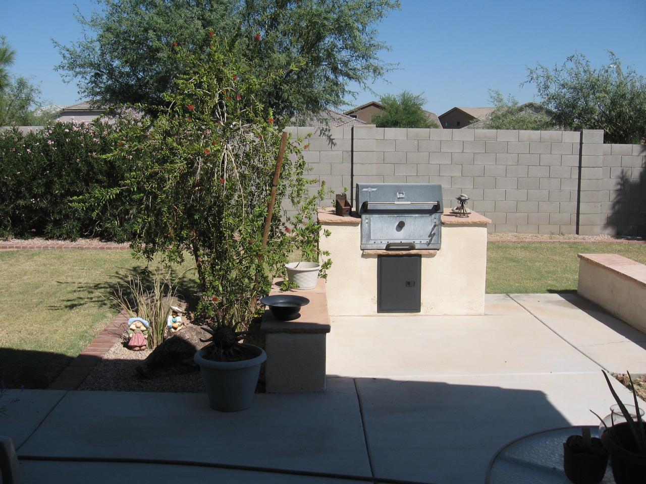 2508 West Carter Road Phoenix, AZ 85041 - Photo 7 of 12 Backyard