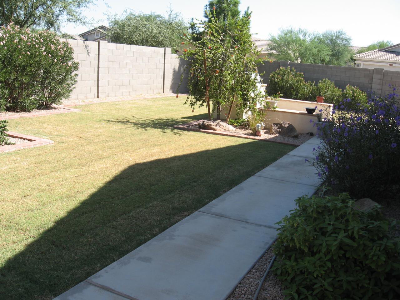2508 West Carter Road Phoenix, AZ 85041 - Photo 9 of 12 Backyard