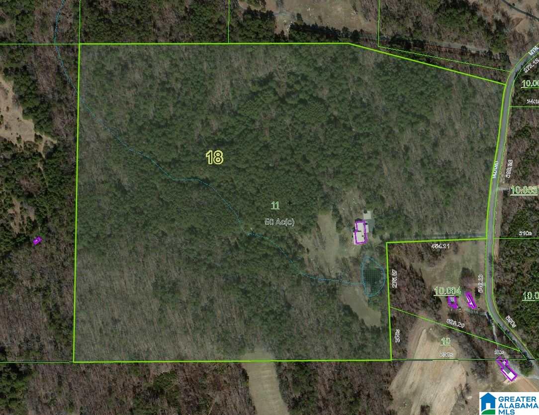 720 Mountain Ridge Road Oneonta, AL 35121 - Photo 2 of 47