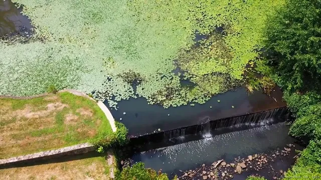 an aerial view of swimming pool