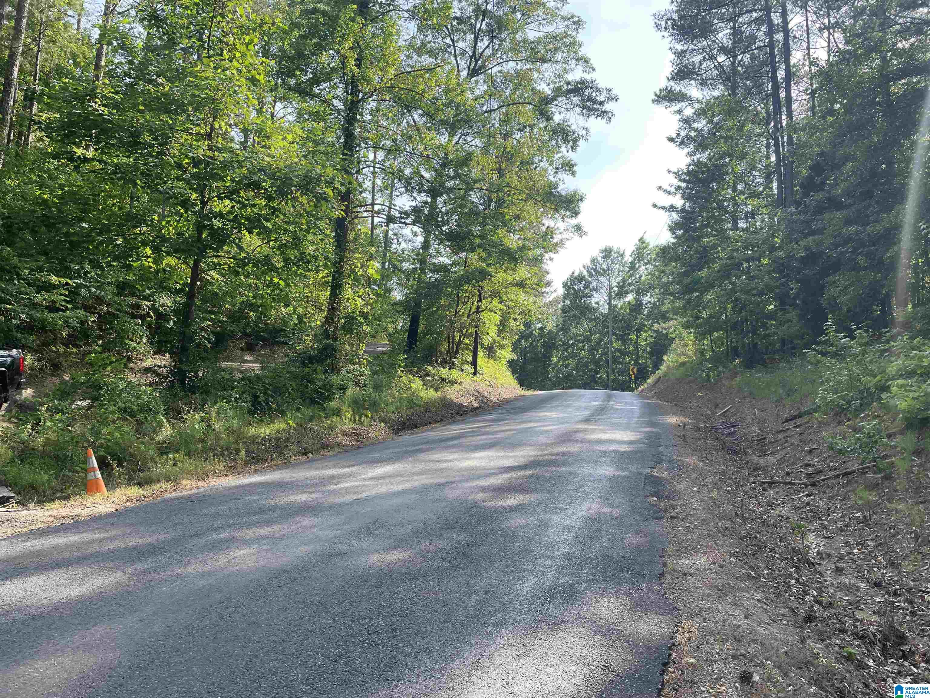 0 Sportsman Lake Road, Unit 1 Springville, AL 35146 - Photo 3 of 24