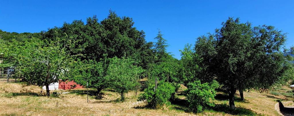 26380 San Felipe Road Warner Springs, CA 92086 - Photo 68 of 69