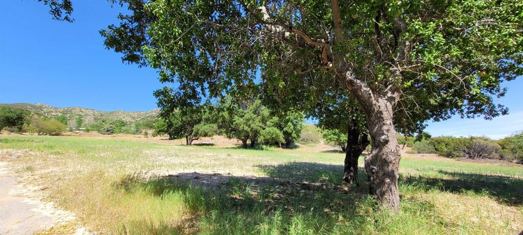 26380 San Felipe Road Warner Springs, CA 92086 - Photo 69 of 69