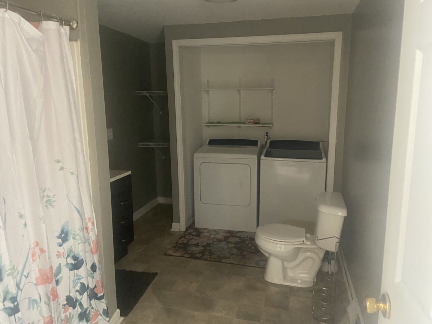 116 North Peru Avenue Ladd, IL 61329 - Photo 10 of 12 a white toilet sitting next to a shower curtain