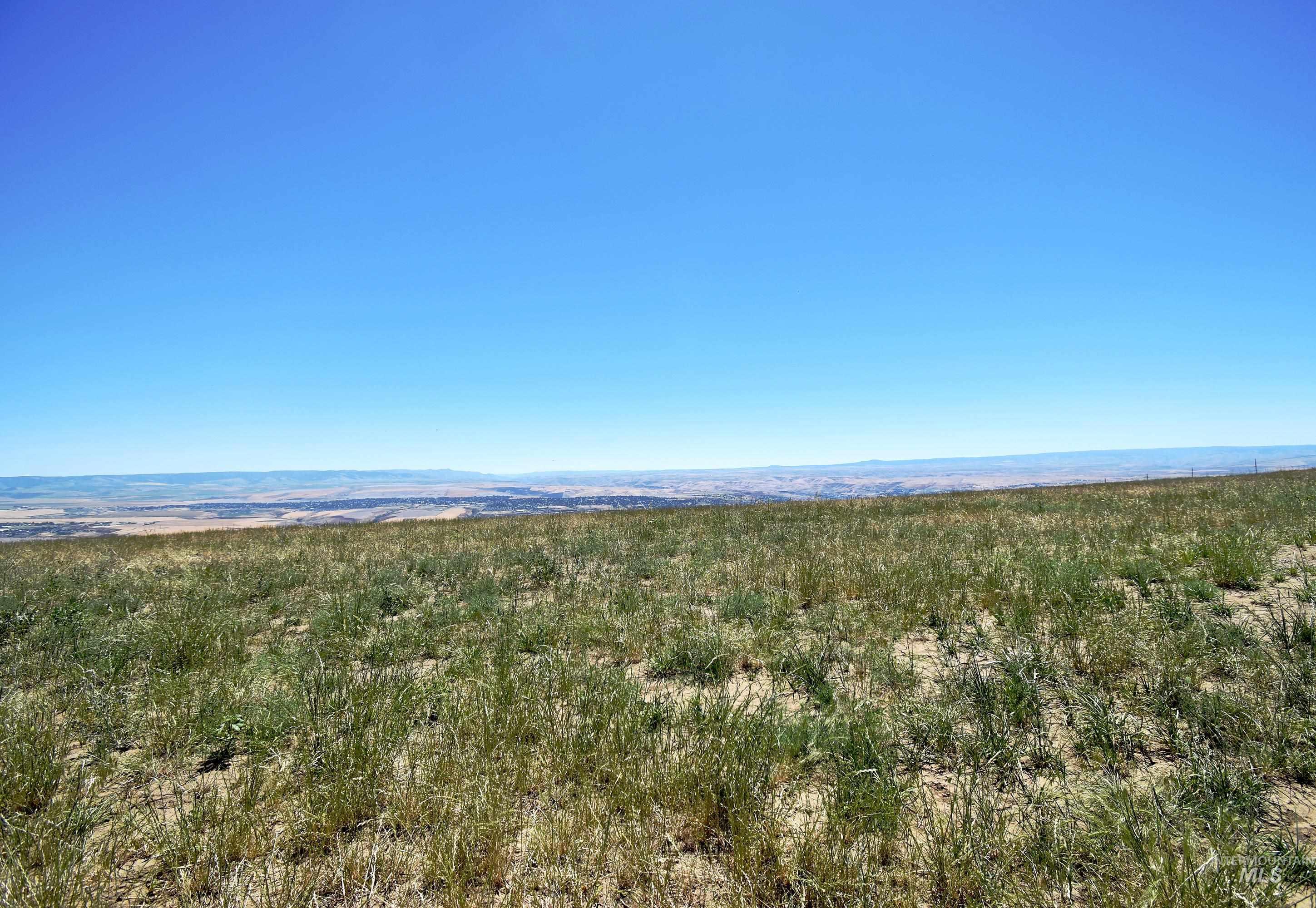 0 Spur Road Genesee, ID 83832 - Photo 14 of 21