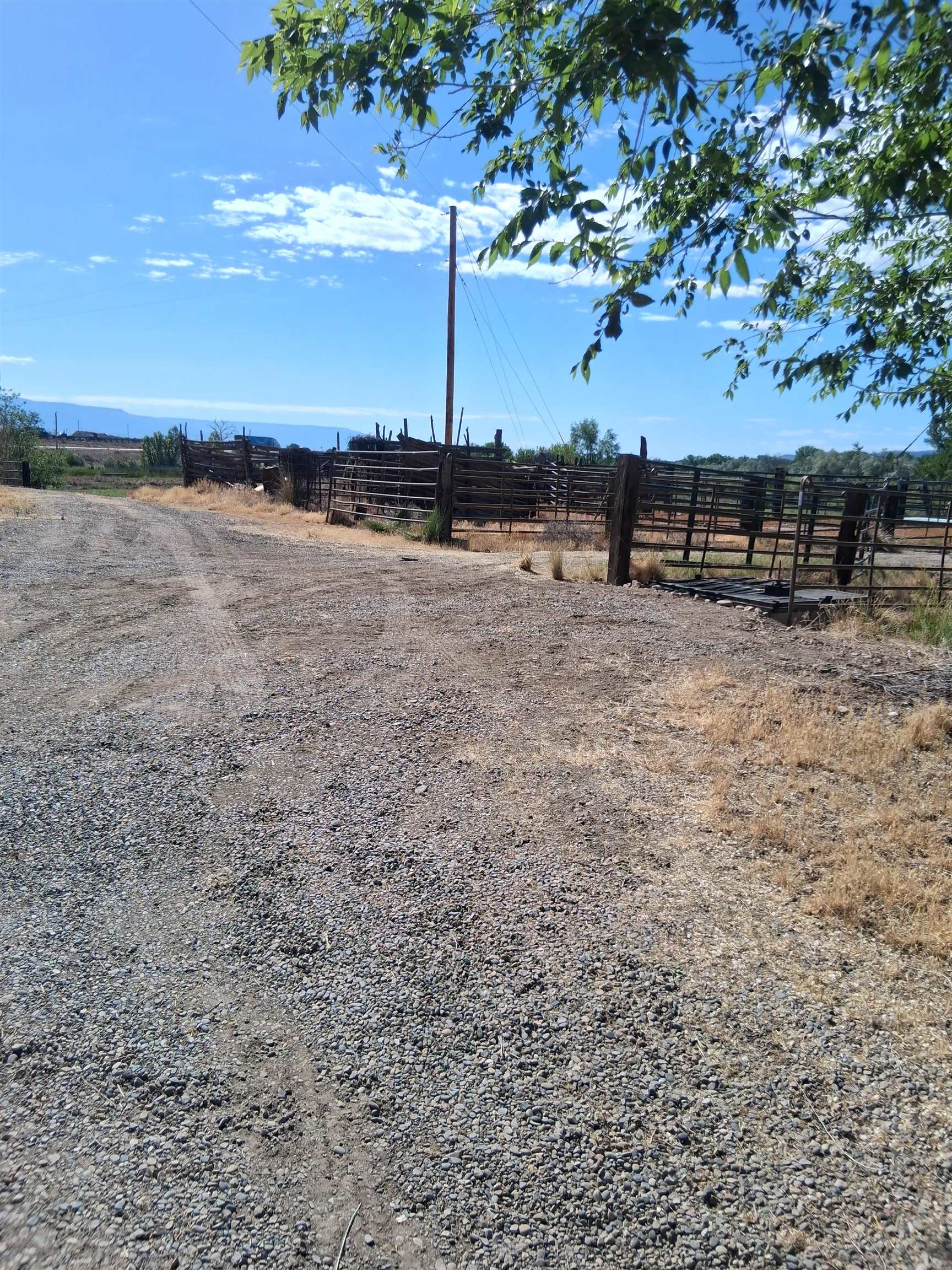 1983 River Road Fruita, CO 81521 - Photo 13 of 14