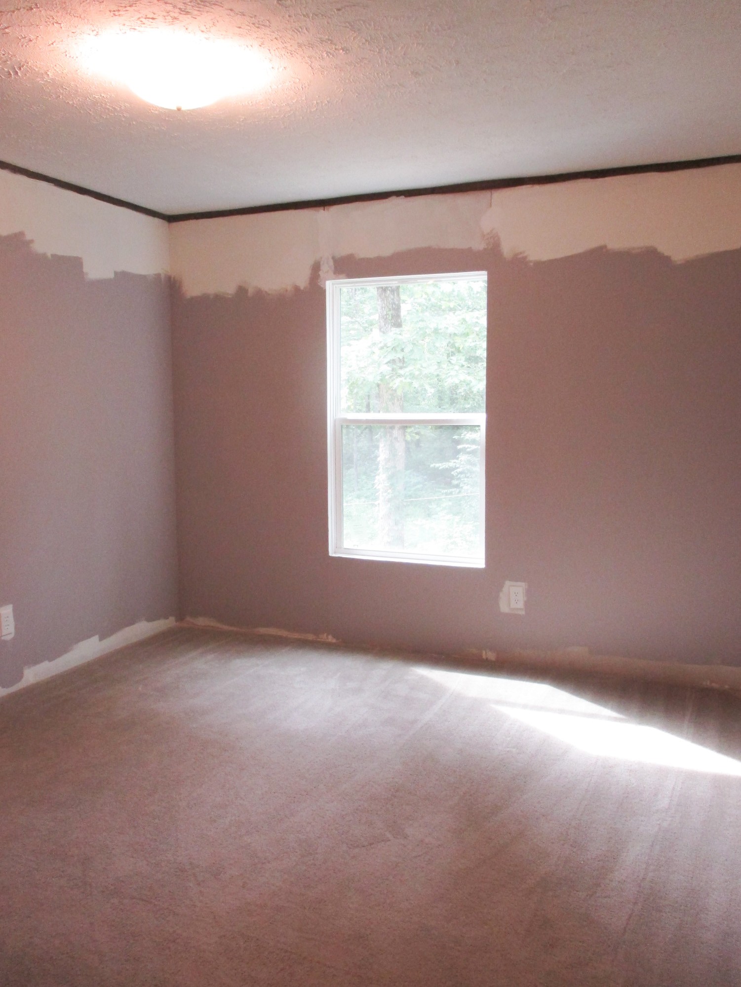1039 Summerfield Road Monteagle, TN 37356 - Photo 22 of 37 Gallery Image 22
