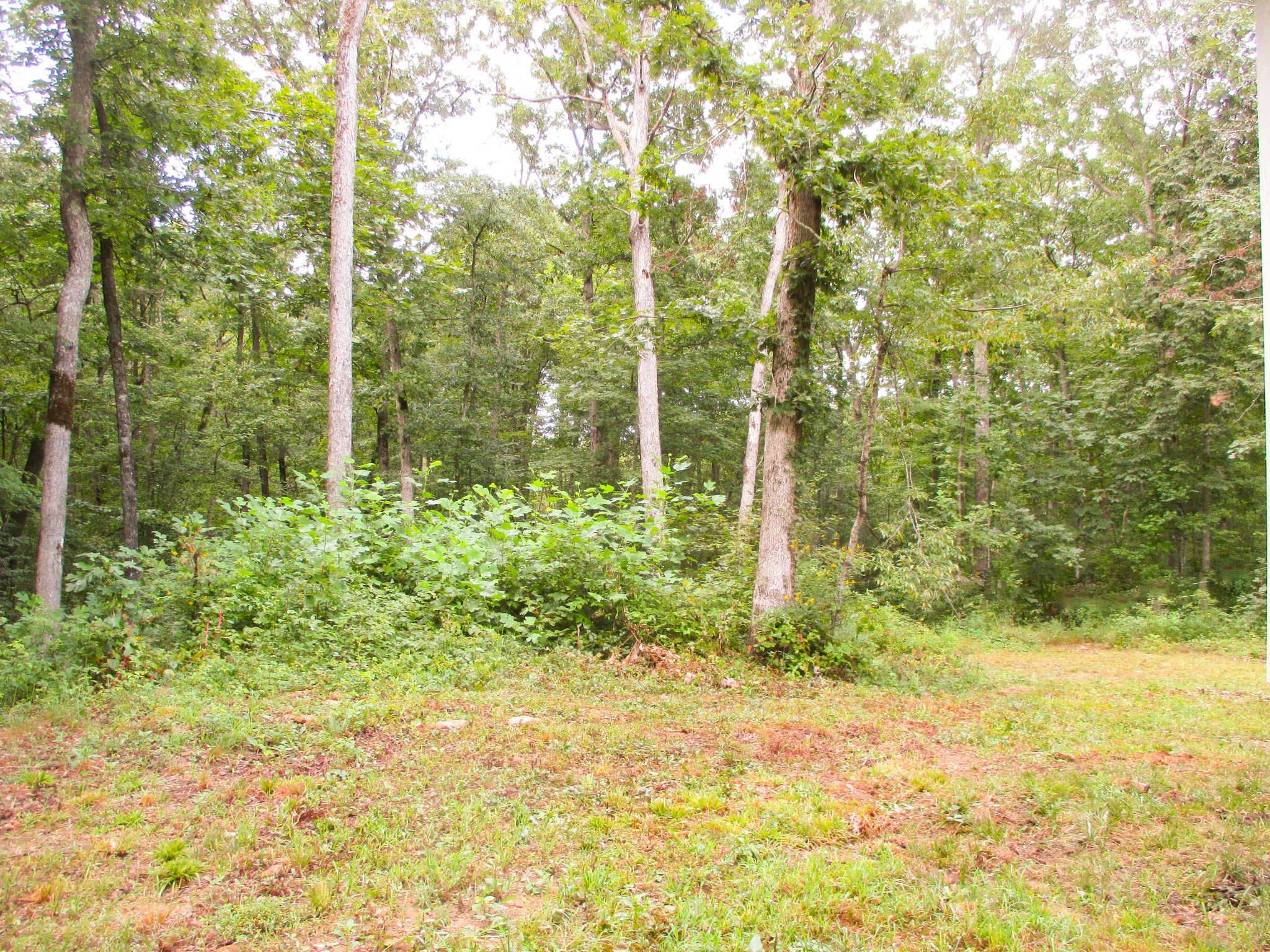 1039 Summerfield Road Monteagle, TN 37356 - Photo 32 of 37 Gallery Image 32
