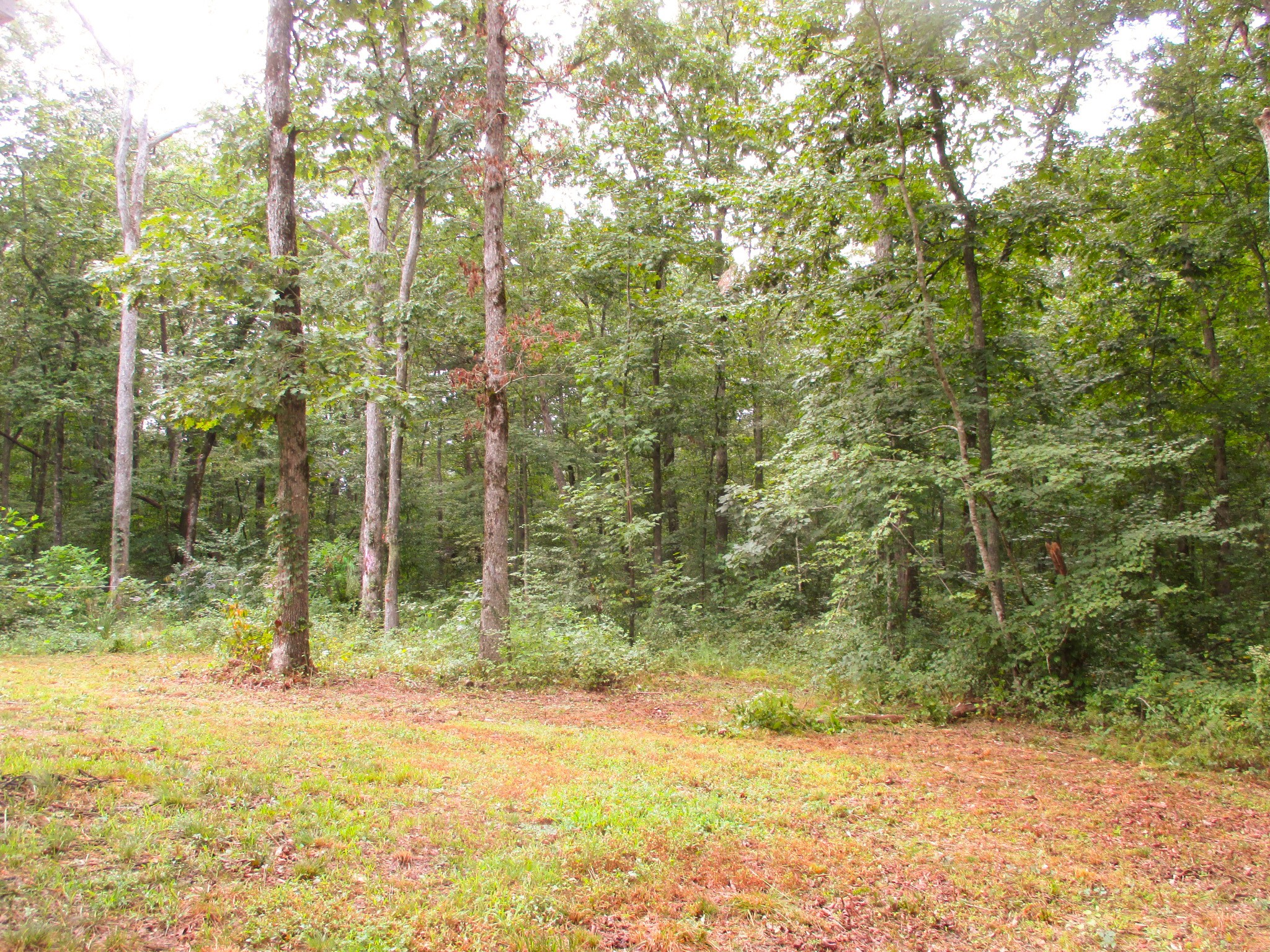 1039 Summerfield Road Monteagle, TN 37356 - Photo 36 of 37 Gallery Image 36