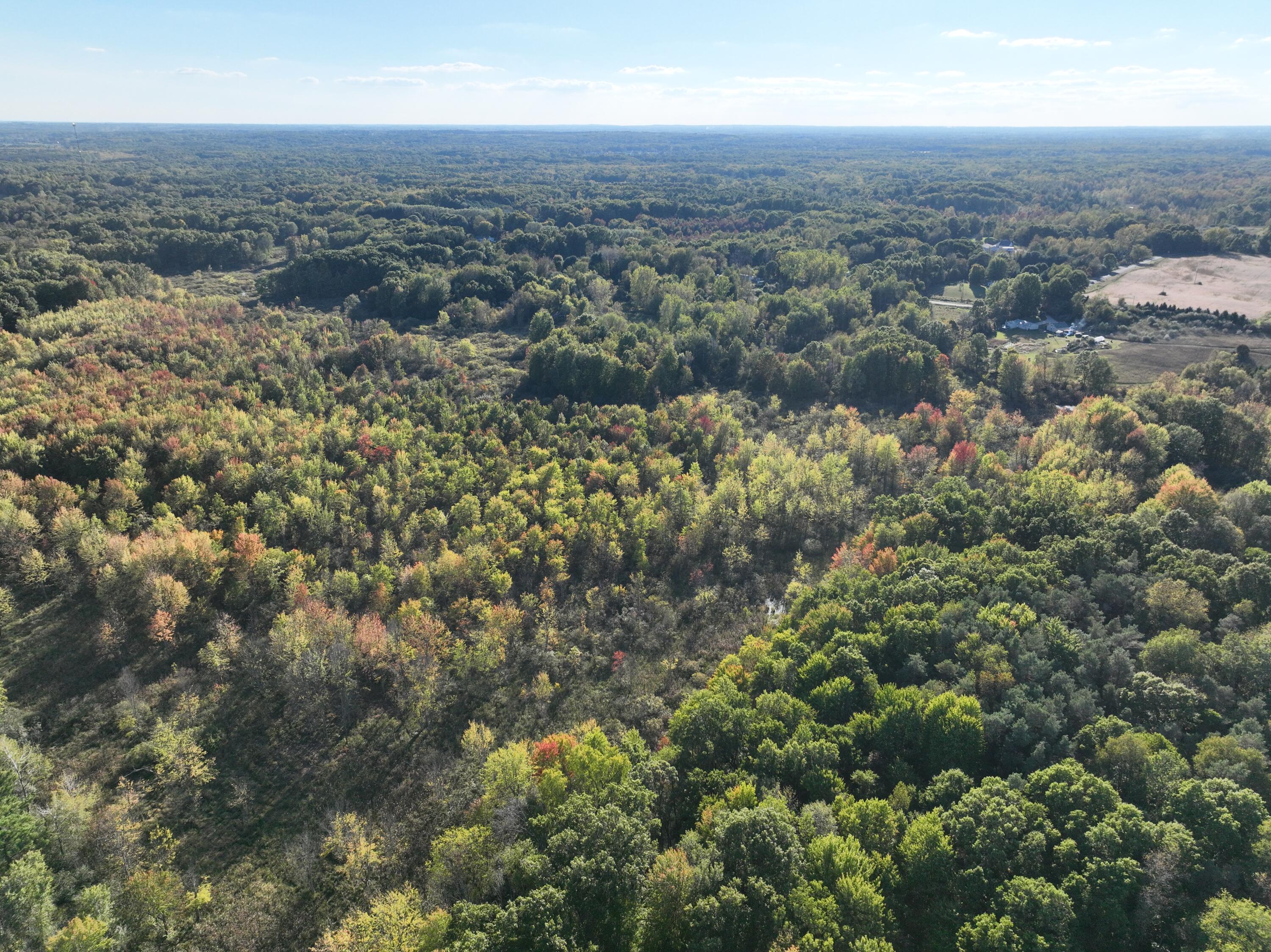V/l Monroe Road Greenville, MI 48838 - Photo 3 of 21 DJI_20240930171946_0005_V