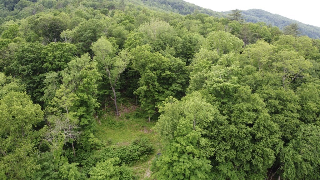 0 Huntington Road Russell, MA 01071 - Photo 21 of 36 a view of a lush green forest with houses